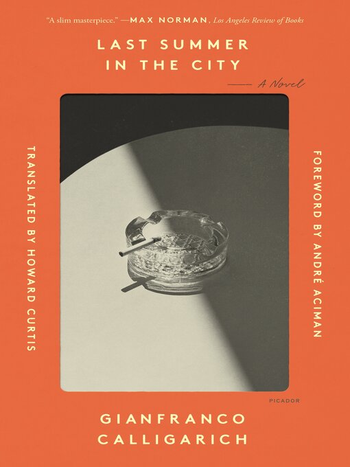 Title details for Last Summer in the City by Gianfranco Calligarich - Wait list